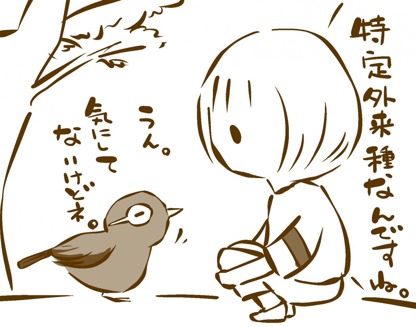 新たに鳥を発見